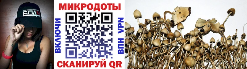 Галлюциногенные грибы Psilocybe наркота Новотроицк